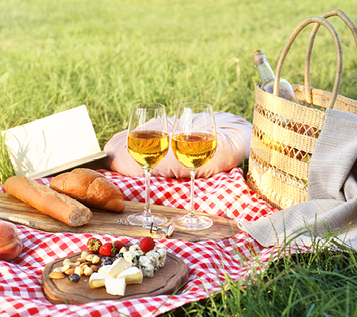 A picnic in the park